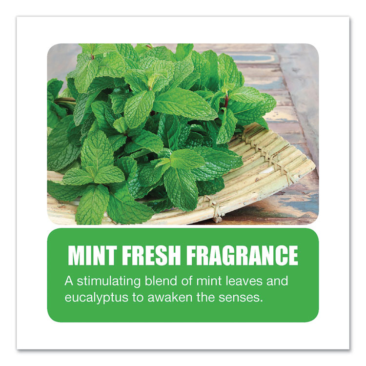 BIG D Industries 504 Enzym D Digester Deodorant, Mint, 32 oz Bottle, 12/Carton