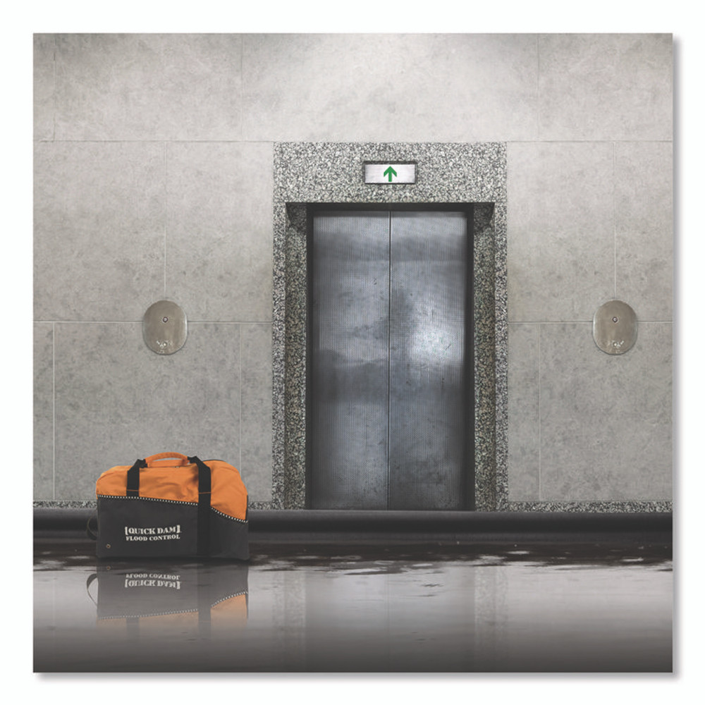 ABSORBENT SPECIALTY PRODUCTS Quick Dam QDDUFF174 Flood Barrier Duffel Bag Kit, (1) Duffel, (4) 17 ft Flood Barriers