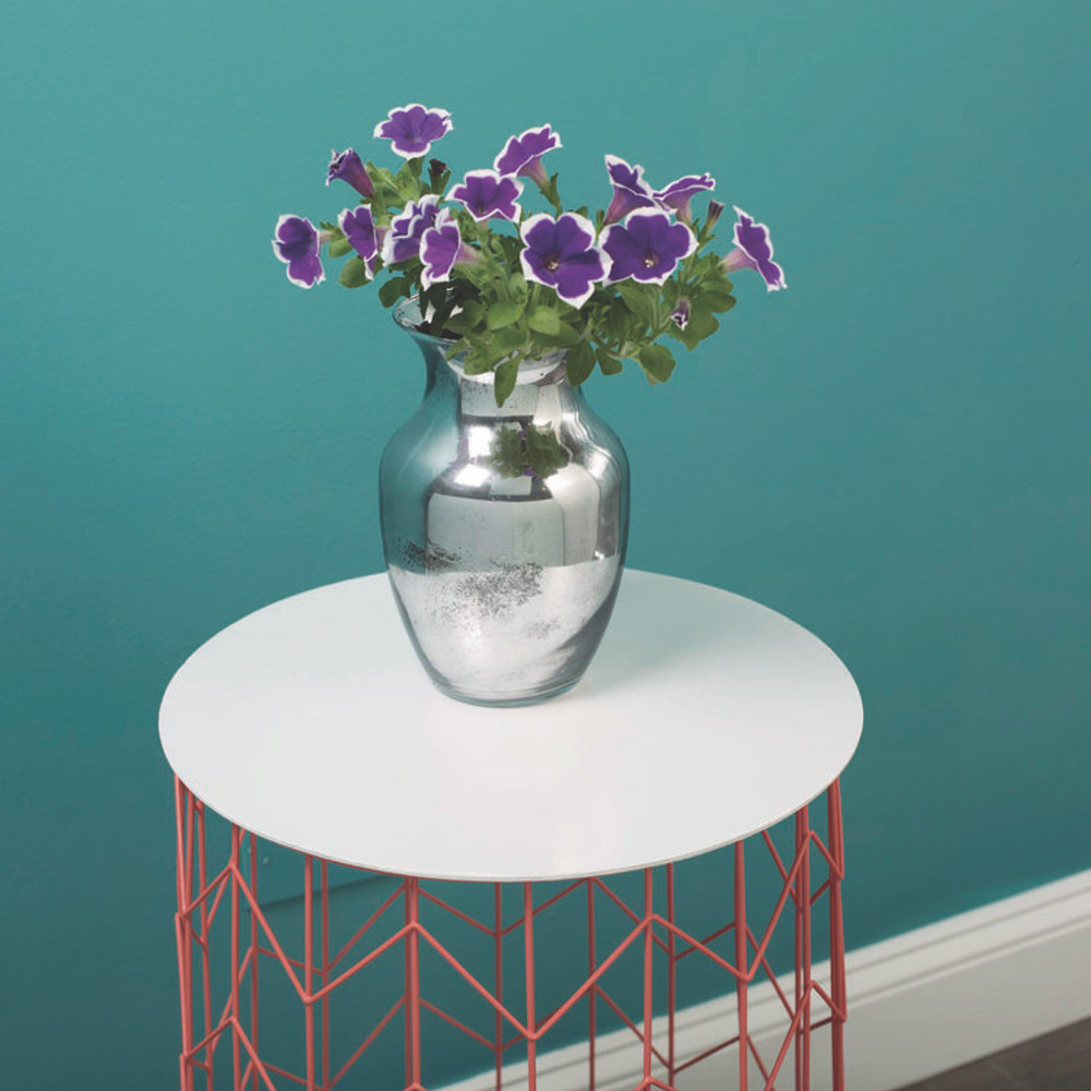 RUST-OLEUM CORPORATION 301494 Specialty Mirror Effect Spray Paint, High Gloss Mirror, 6 oz Aerosol Can