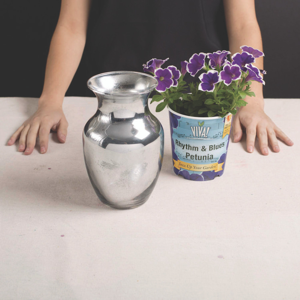 RUST-OLEUM CORPORATION 301494 Specialty Mirror Effect Spray Paint, High Gloss Mirror, 6 oz Aerosol Can