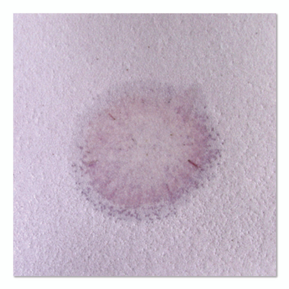 ABSORBENT SPECIALTY PRODUCTS Quick Dam™ ACIDPAD10 Acid Neutralizing Pads, 3 L, 4" x 10", 10/Pack