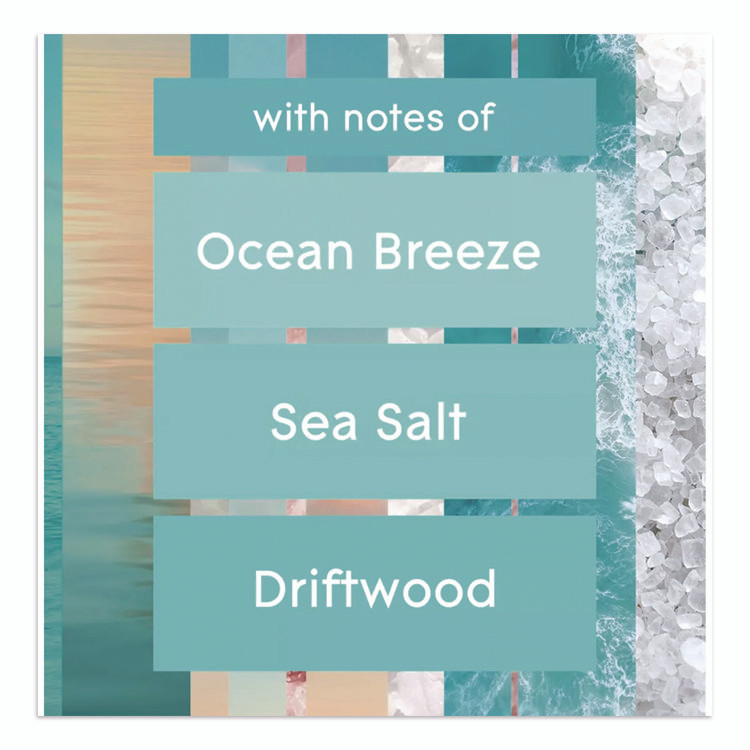 SC JOHNSON Glade® 337880 Plugin Scented Oil Refill, Sky and Sea Salt, 0.67 oz, 2/Pack