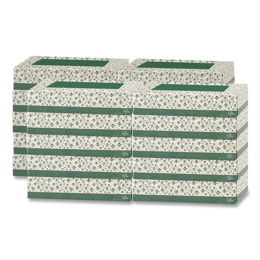 AMERICAN PAPER CONVERTING Floral Soft® F100 White Facial Tissue, 2-Ply, 100 Sheets/Box, 30 Boxes/Carton