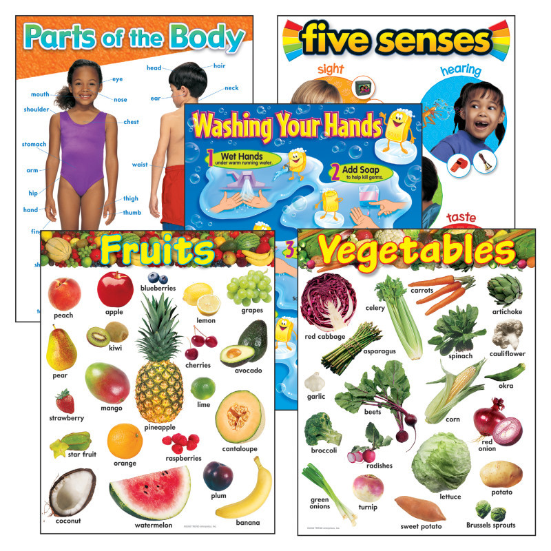 TREND ENTERPRISES INC. TREND Healthy Living Learning Charts Combo Pack, Set of 5
