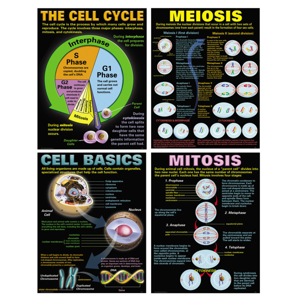 TEACHER CREATED RESOURCES McDonald Publishing Cells Posters, Set of 4 TEACHER CREATED RESOURCES McDonald Publishing Cells Posters, Set of 4