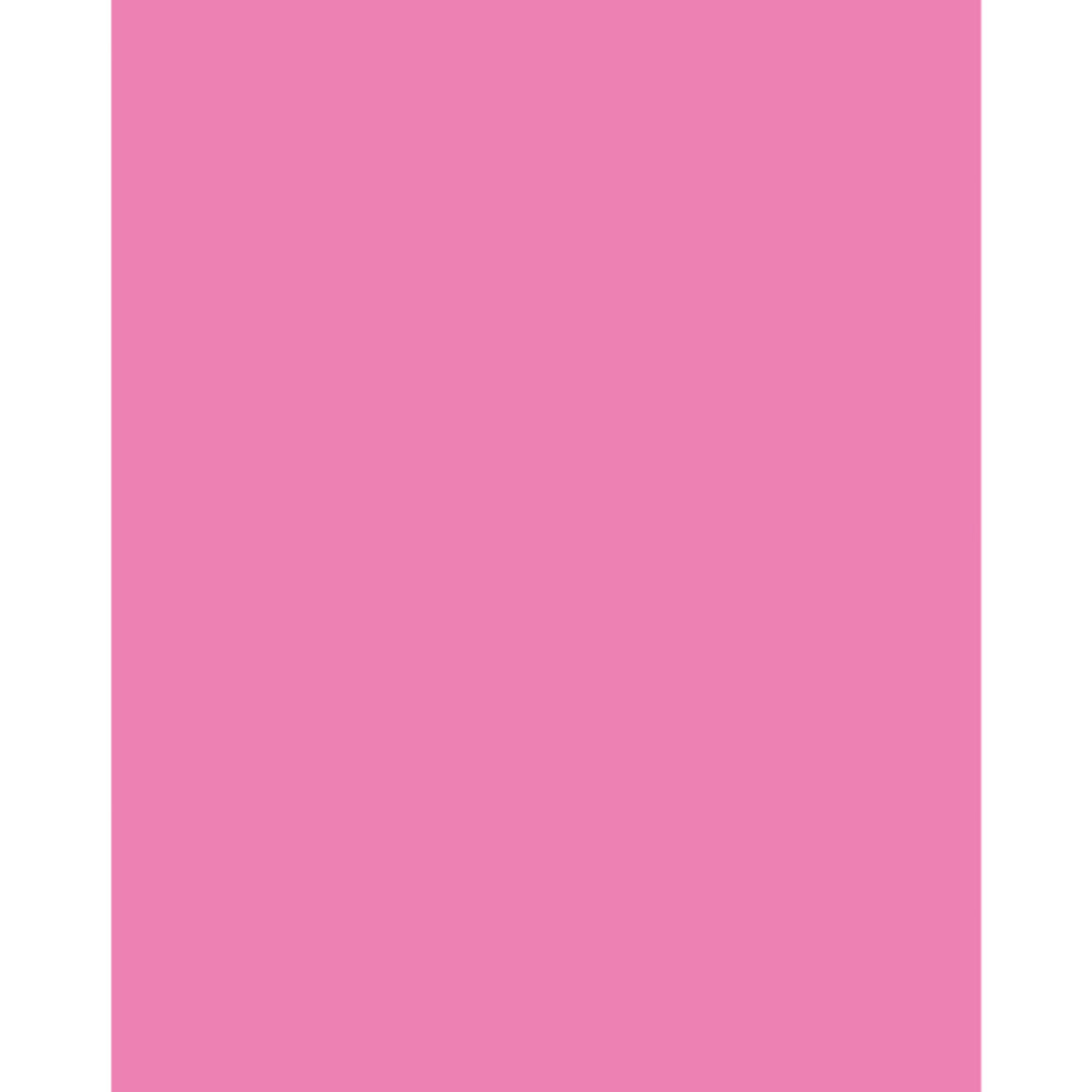 DIXON TICONDEROGA CO UCreate® Neon Coated Poster Board, Neon Pink, 22" x 28", 25 Sheets