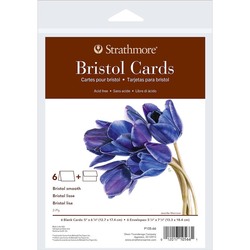 DIXON FINE ART Strathmore 400 Series Bristol Cards & Envelopes, Full Size, 5x6.875 inch, 6 Pack