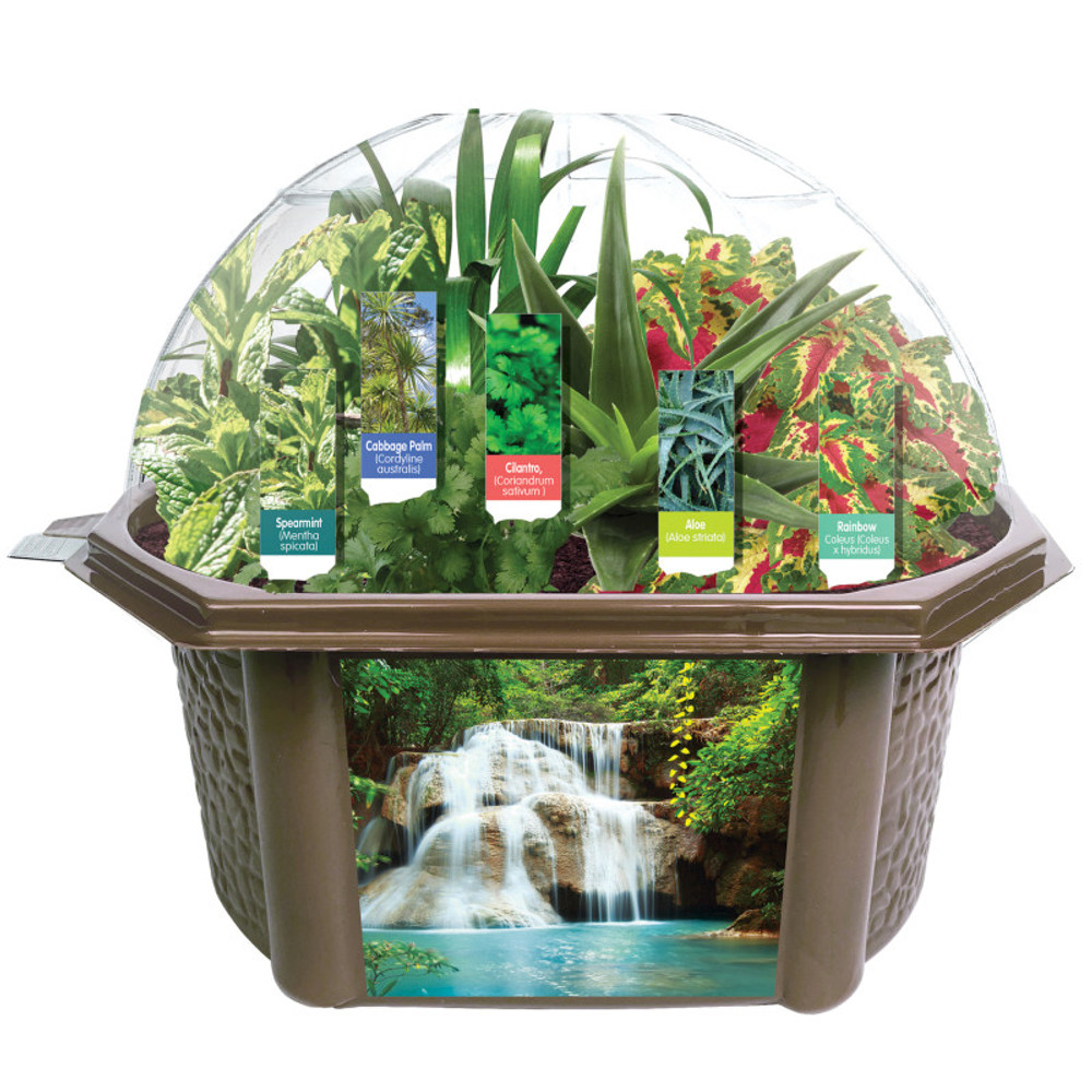 SILVER CIRCLE PRODUCTS INC Fernroot Sensory Biosphere