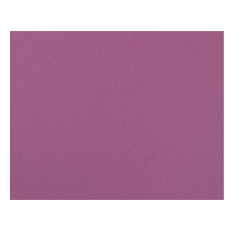 DIXON TICONDEROGA CO Pacon® 4-Ply Railroad Board, Magenta, 22" x 28", 25 Sheets