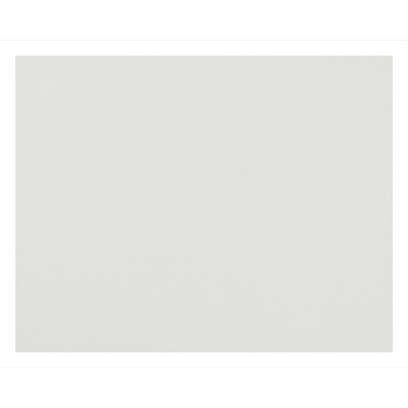 DIXON TICONDEROGA CO Pacon® 4-Ply Railroad Board, White, 22" x 28", 100 Sheets