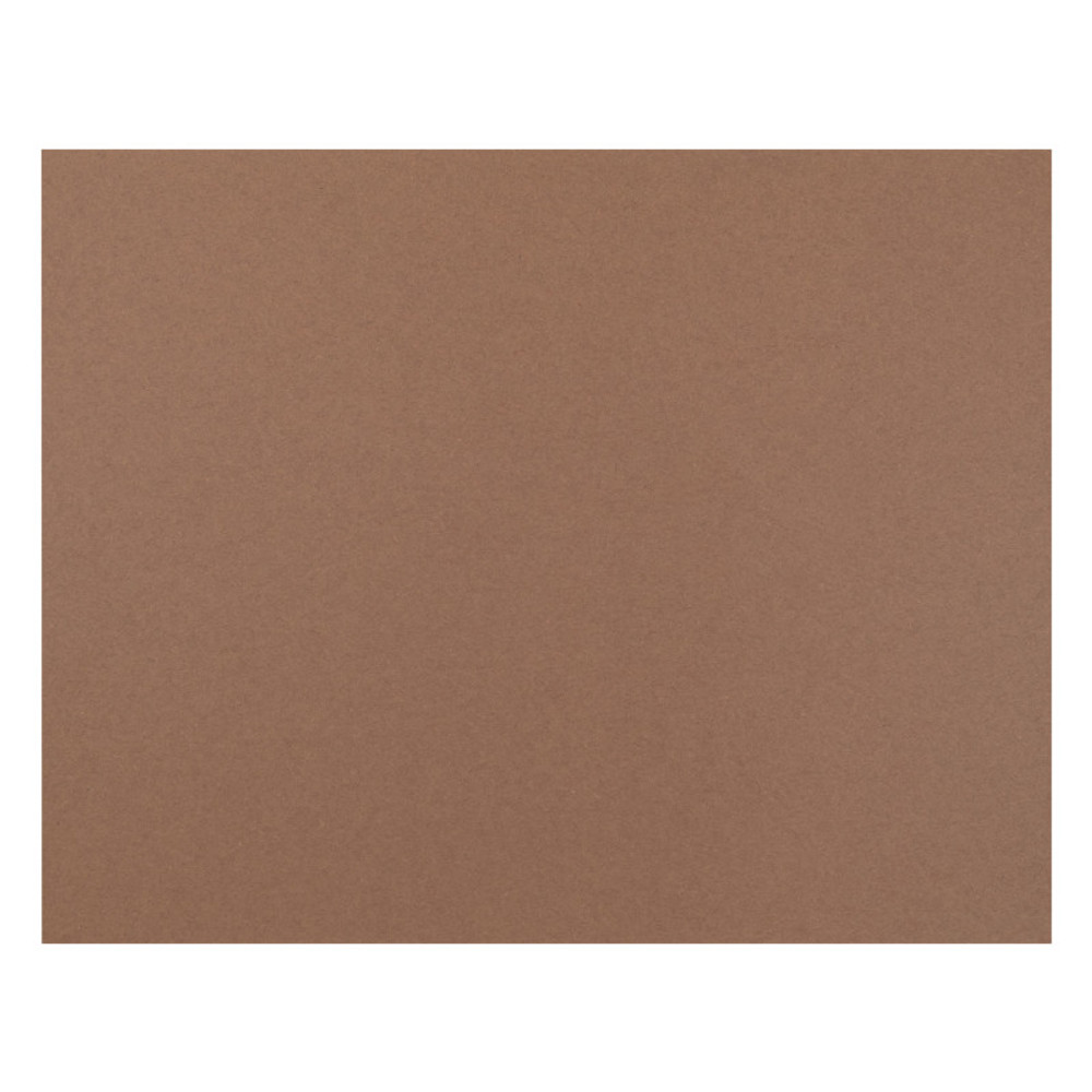 DIXON TICONDEROGA CO Pacon® 4-Ply Railroad Board, Brown, 22" x 28", 25 Sheets
