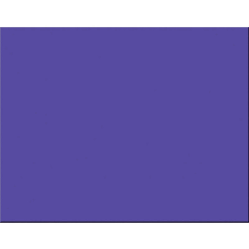 DIXON TICONDEROGA CO Pacon® 4-Ply Railroad Board, Purple, 22" x 28", 25 Sheets