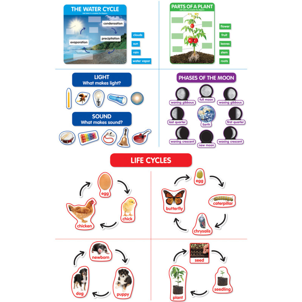 SCHOLASTIC TEACHING RESOURCES Scholastic Teaching Solutions Early Science Concepts Bulletin Board Set