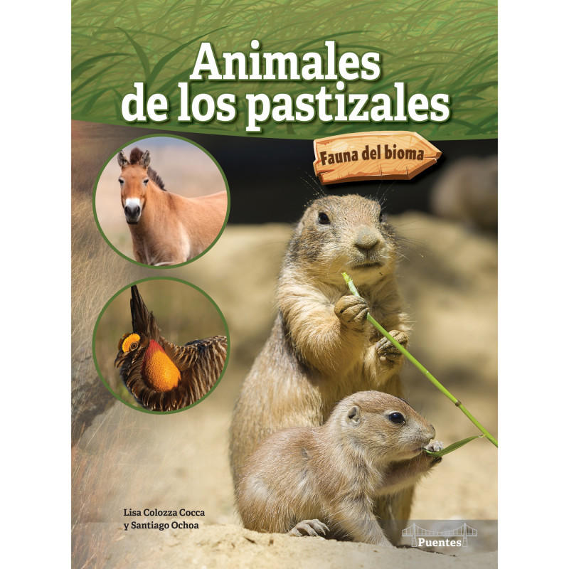 CARSON DELLOSA EDUCATION Bridges Animales de los pastizales Paperback