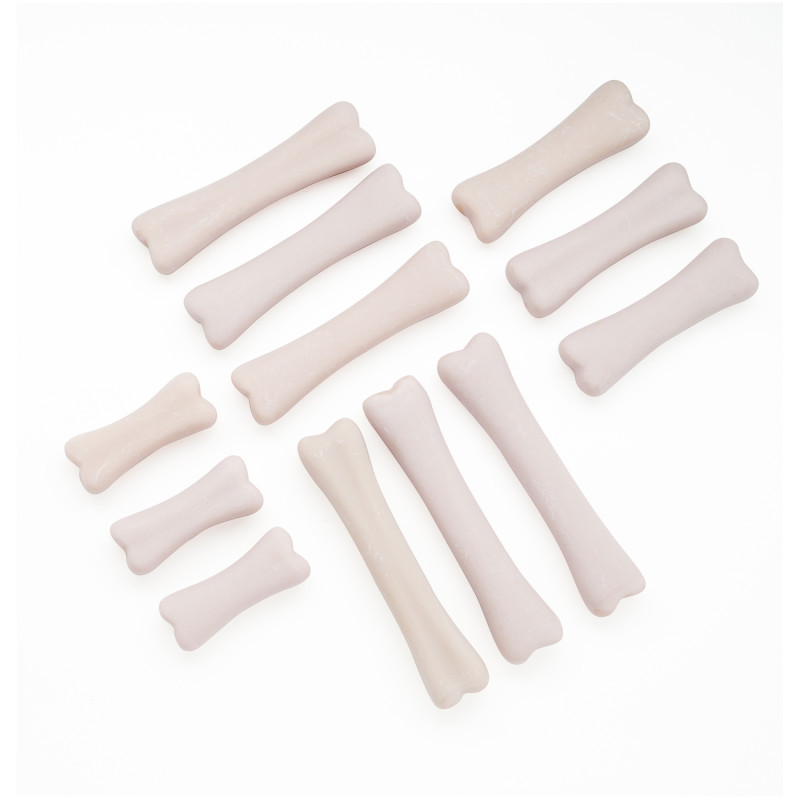 YELLOW DOOR US LLC Yellow Door Dinosaur Bones Discovery Set, Pack of 12