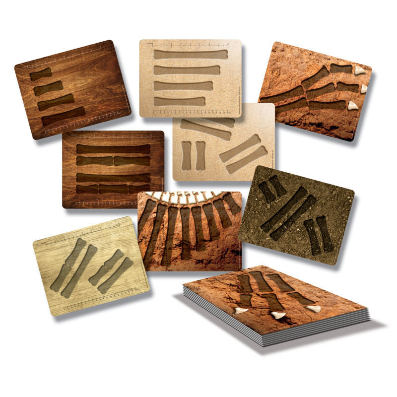 YELLOW DOOR US LLC Yellow Door Dinosaur Bones Match and Measure Activity Cards