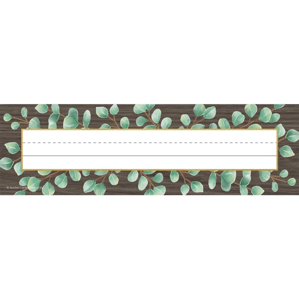 TEACHER CREATED RESOURCES Teacher Created Resources® Eucalyptus Flat Name Plates, Pack of 36