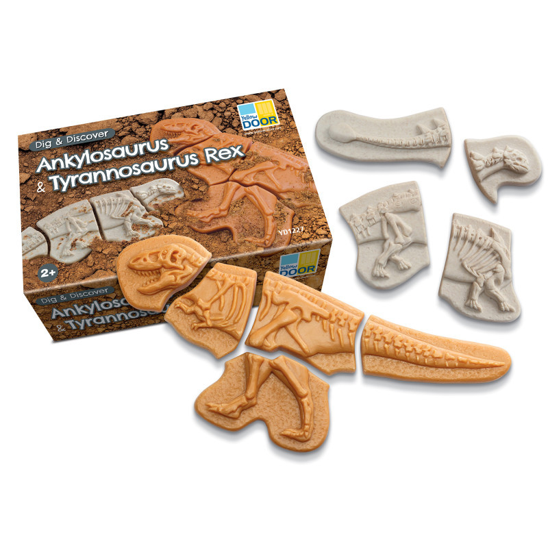 YELLOW DOOR US LLC Yellow Door Dig and Discover - Ankylosaurus & Tyrannosaurus Rex