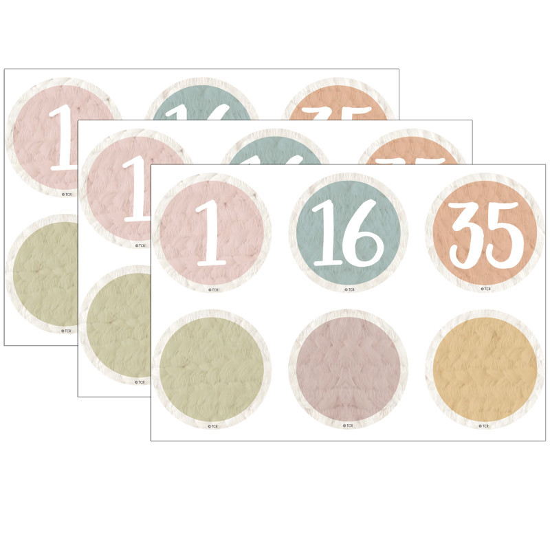 TEACHER CREATED RESOURCES Teacher Created Resources® Everyone is Welcome Numbers Magnetic Accents, 42 Per Pack, 3 Packs