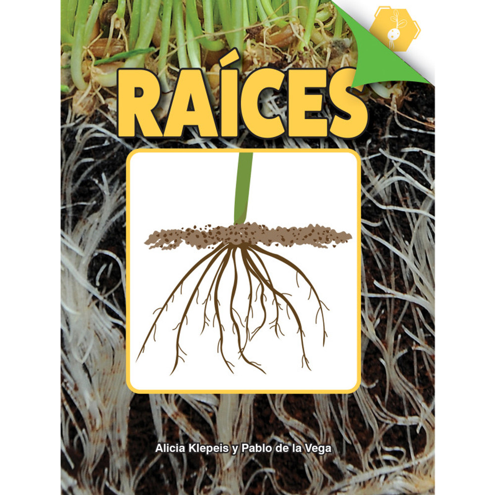 CARSON DELLOSA EDUCATION Discovery Library Raíces Book, Hardcover