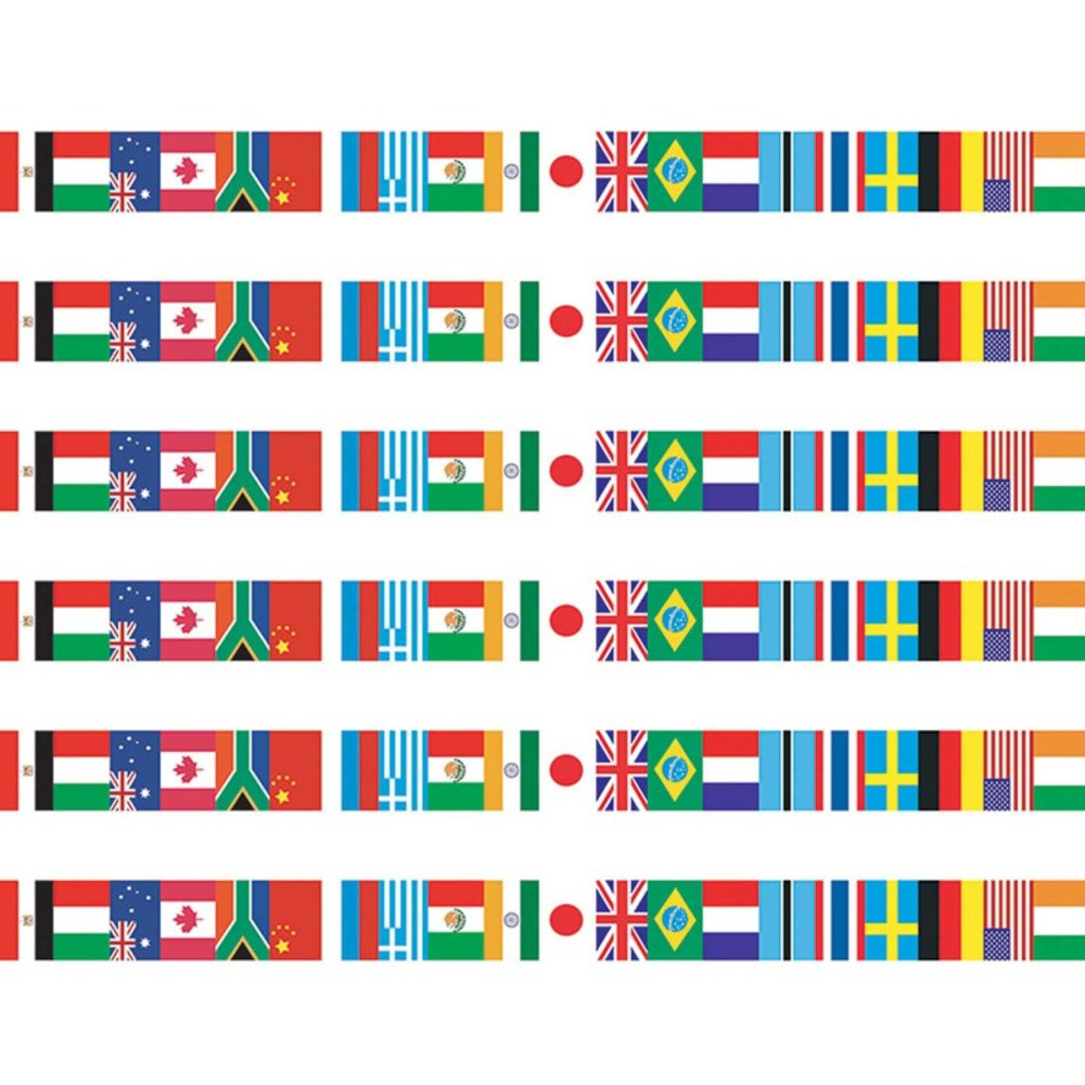 TEACHER CREATED RESOURCES Edupress™ International Flags Spotlight Border™, 36 Per Pack, 6 Packs