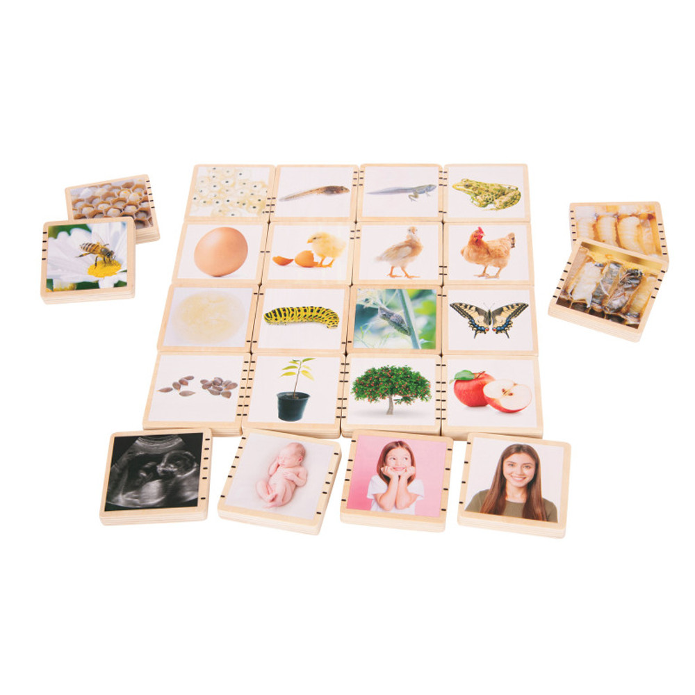 LEARNING ADVANTAGE TickiT® Wooden Lifecycle Tiles