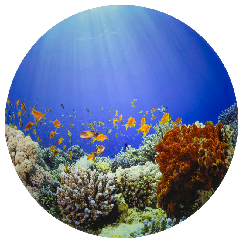 LEARNING ADVANTAGE TickiT® Under the Sea Discovery Play Mat