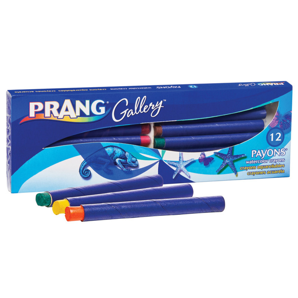DIXON TICONDEROGA CO Prang® Payons® Watercolor Crayons, With Brush, Assorted Colors, Set of 12