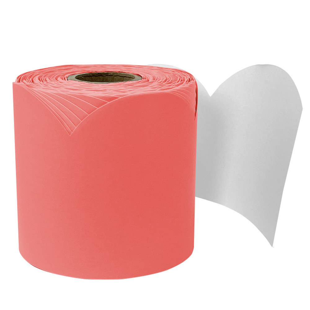 CARSON DELLOSA EDUCATION Carson Dellosa Education Rolled Scalloped Bulletin Board Border, Salmon, 65 Feet