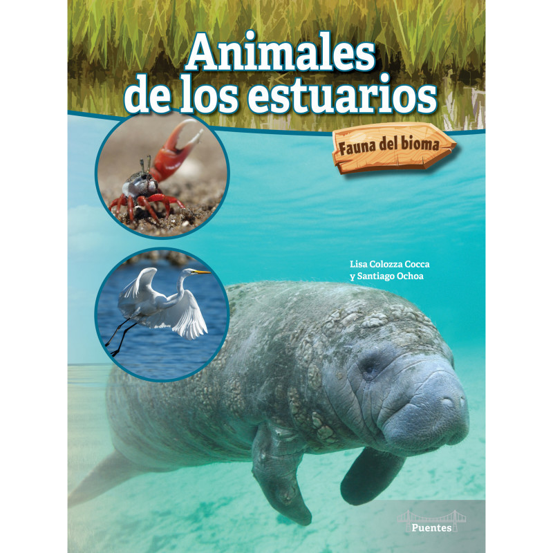 CARSON DELLOSA EDUCATION Bridges Animales de los estuarios Hardcover