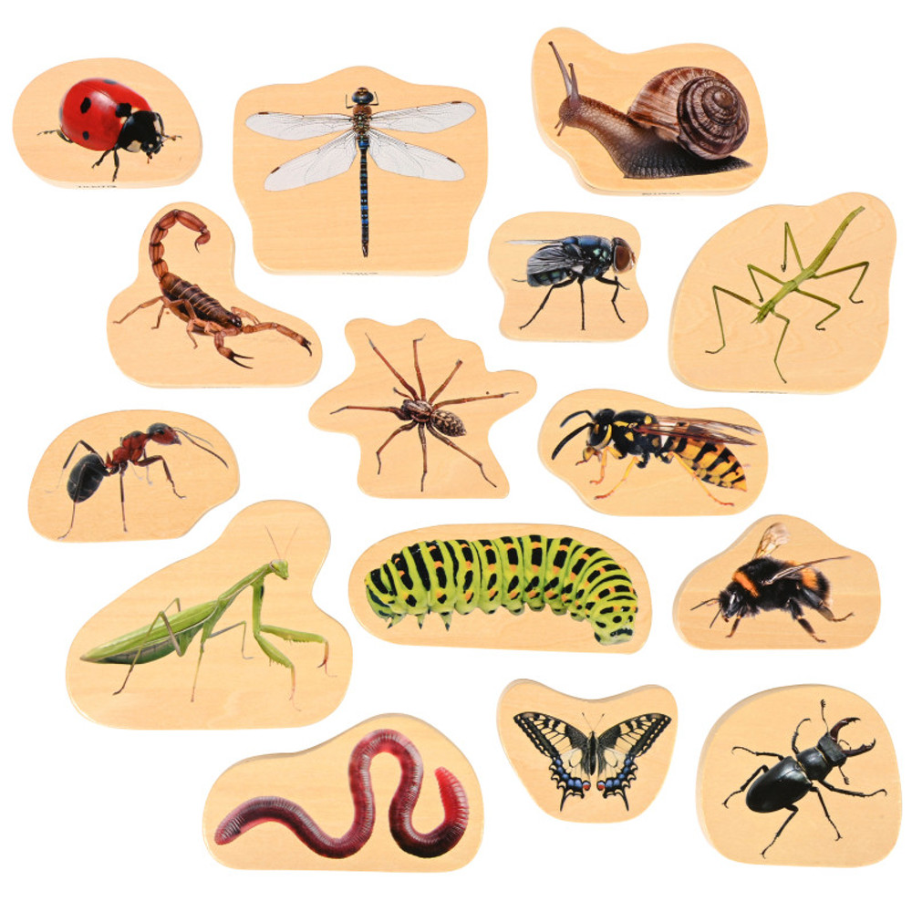 LEARNING ADVANTAGE TickiT® Wooden Minibeast Blocks - Set of 15