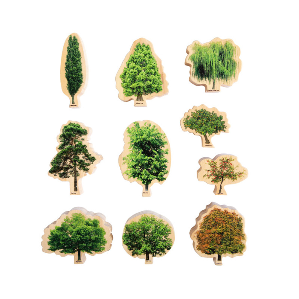 LEARNING ADVANTAGE The Freckled Frog Seasons Wooden Trees