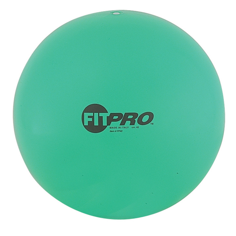 CHAMPION SPORTS Champion Sports Fitpro Training & Exercise Ball, 42cm, Green