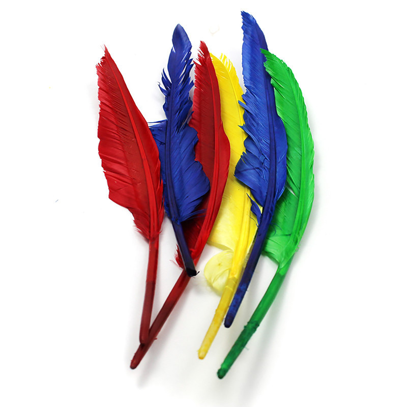 ADVANTUS Charles Leonard Quill Feathers, 10" & 12", 6 Count