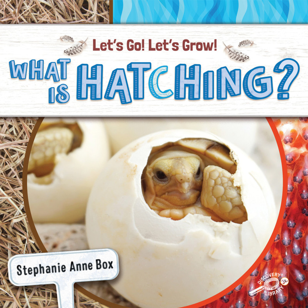 CARSON DELLOSA EDUCATION Rourke Educational Media What Is Hatching? Reader, Grade K-2, Paperback CARSON DELLOSA EDUCATION Rourke Educational Media What Is Hatching? Reader, Grade K-2, Paperback