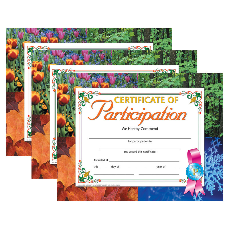FLIPSIDE Hayes Publishing Certificate of Participation, 8.5" x 11", 30 Per Pack, 3 Packs