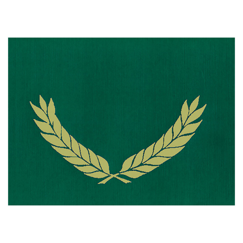 FLIPSIDE Hayes Publishing Gold Foil Stamped Green Certificate Folders, 10" x 13", Pack of 30