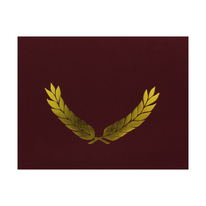 FLIPSIDE Hayes Publishing Gold Foil Stamped Maroon Certificate Folders, 10" x 13", Pack of 30