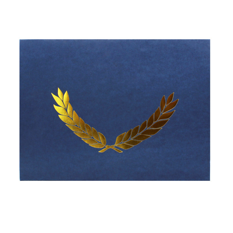 FLIPSIDE Hayes Publishing Embossed Certificate Folder, Blue, Pack of 30