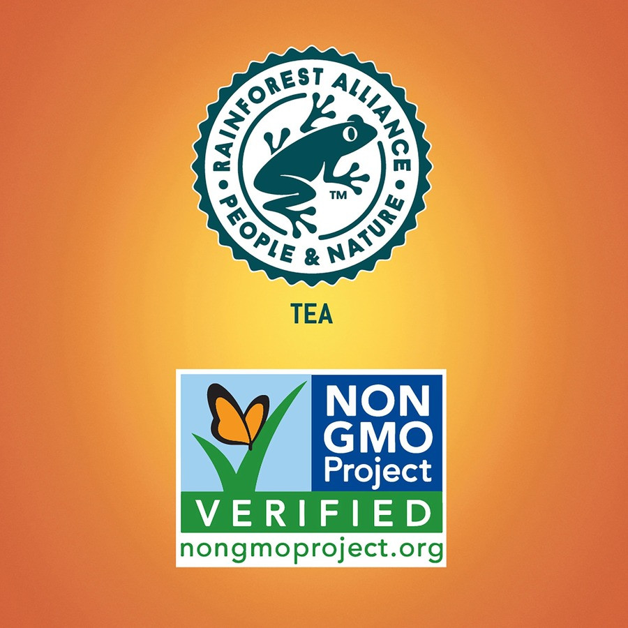 Crystal Geyser Water Company Tejava 40353 Tejava Lemon Black Tea Bottle