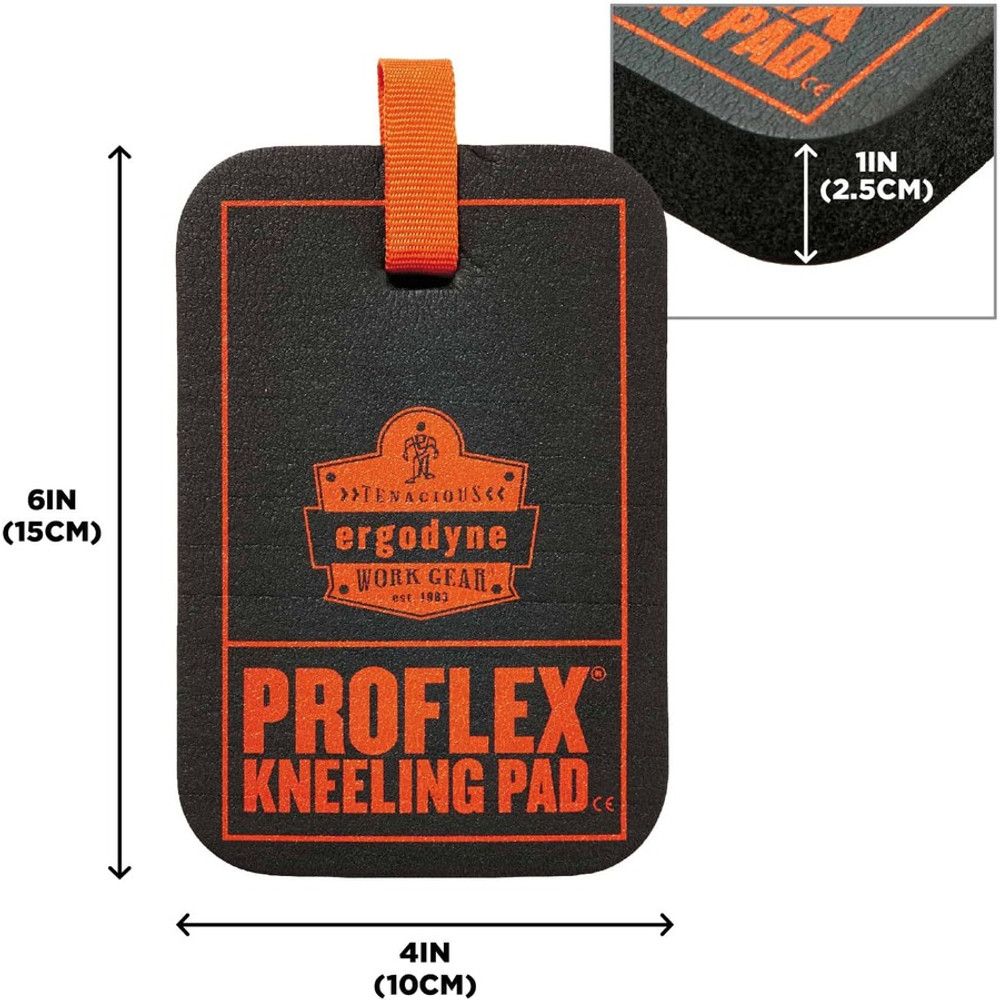 Tenacious Holdings, Inc Ergodyne 18565 Ergodyne ProFlex 365 Carabiner Mini Kneeling Pad Tenacious Holdings, Inc Ergodyne 18565 Ergodyne ProFlex 365 Carabiner Mini Kneeling Pad