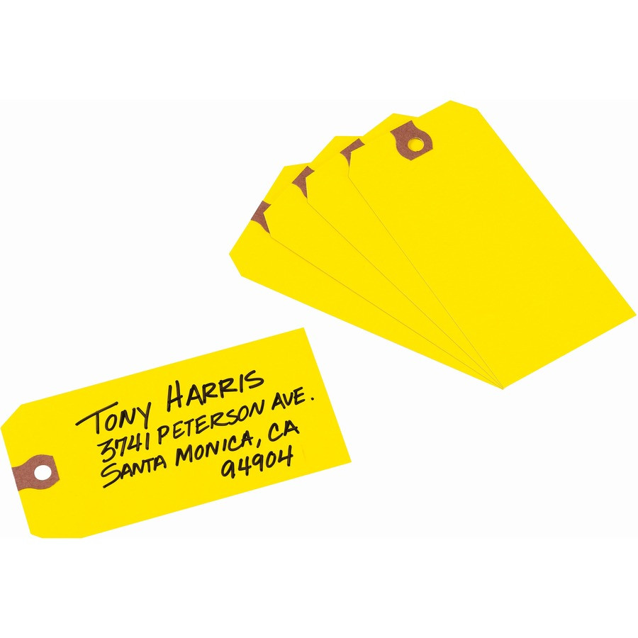 Avery Avery&reg; 12325 Avery&reg; Shipping Tags - Unstrung