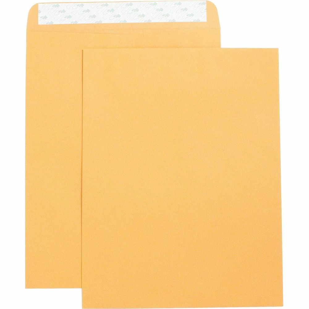 Business Source 42121 Business Source Self Adhesive Kraft Catalog Envelopes