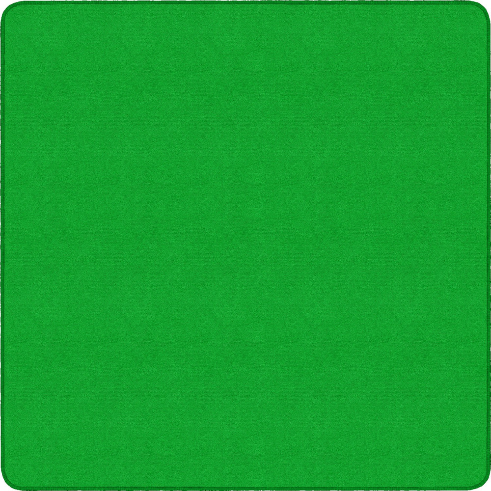 Flagship Carpets, LLC Flagship Carpets BS70LG Flagship Carpets Ameristrong Solid Color Rug