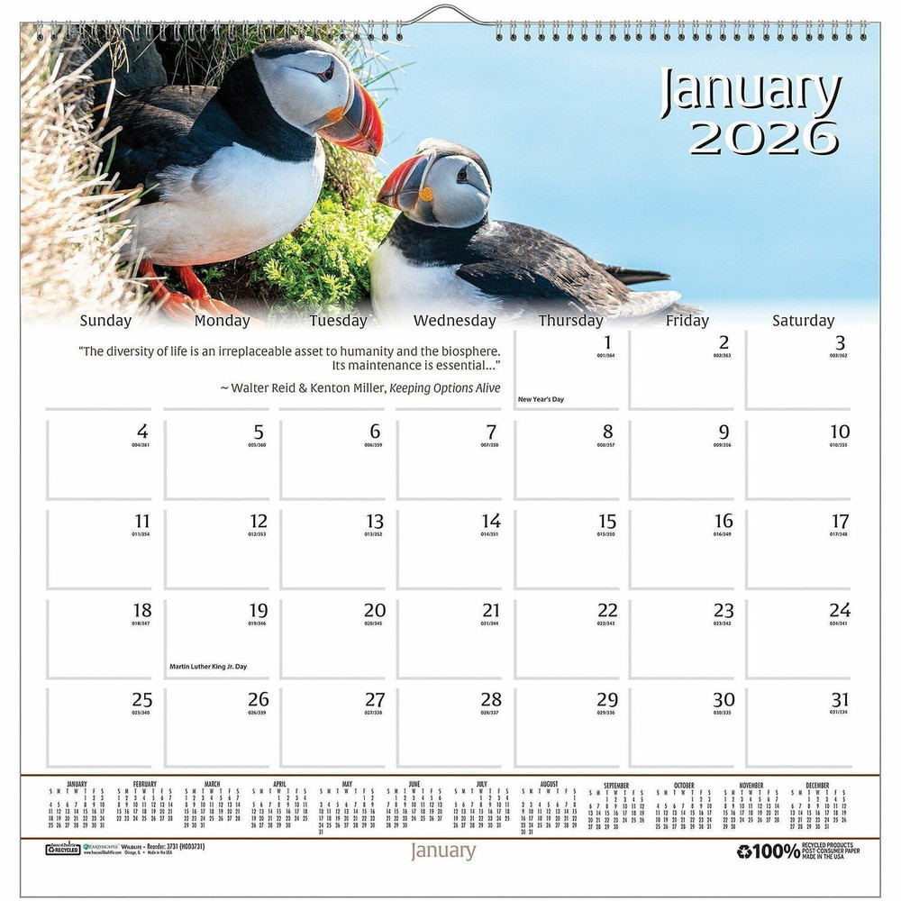 House of Doolittle 3731 House of Doolittle Earthscapes Wildlife Wall Calendars
