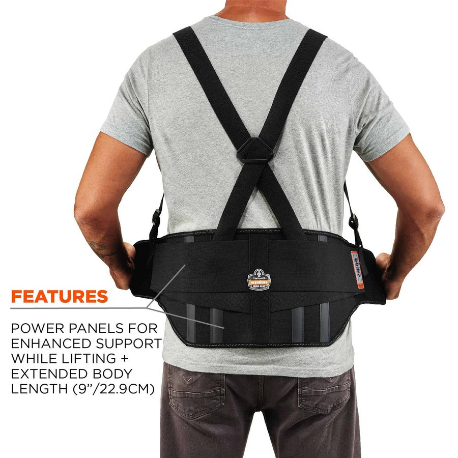 Tenacious Holdings, Inc Ergodyne 11103 Ergodyne ProFlex 1600 Standard Back Support Brace