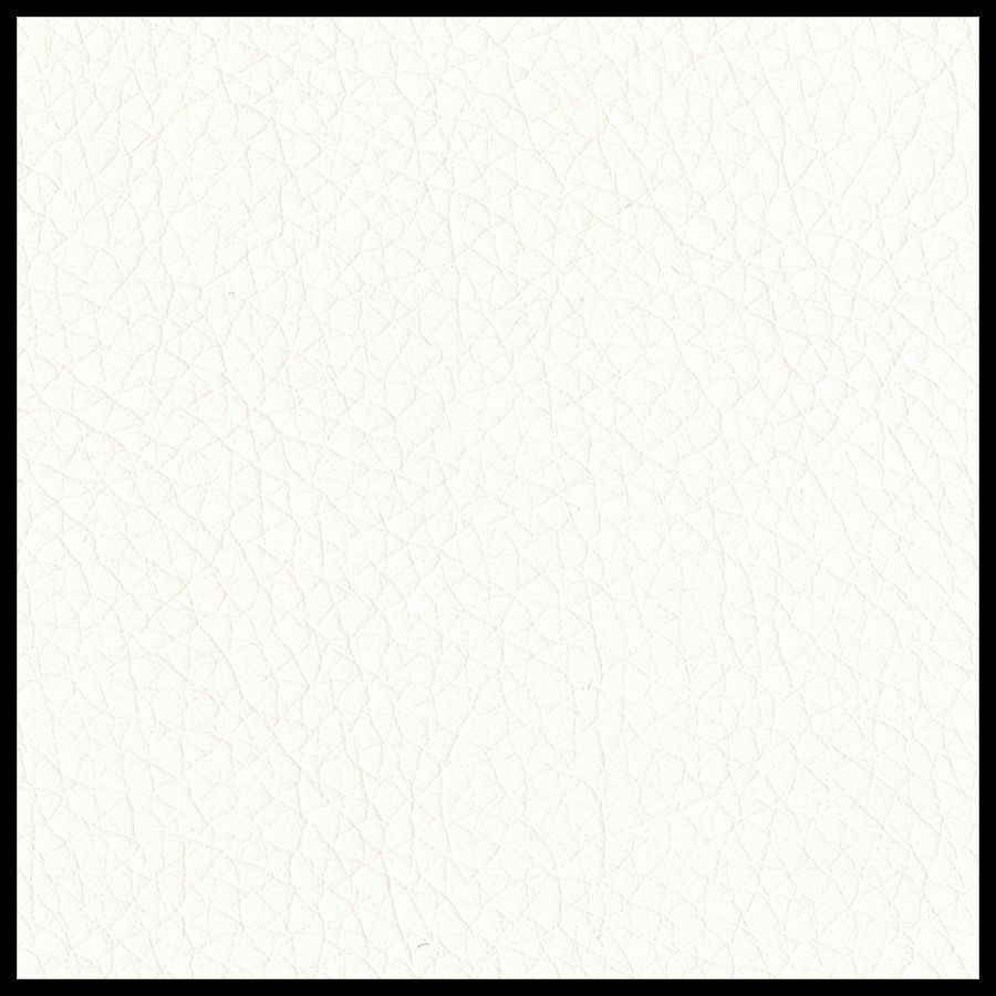 The Raynor Group, Inc Eurotech 49802103 Eurotech Executive Chair