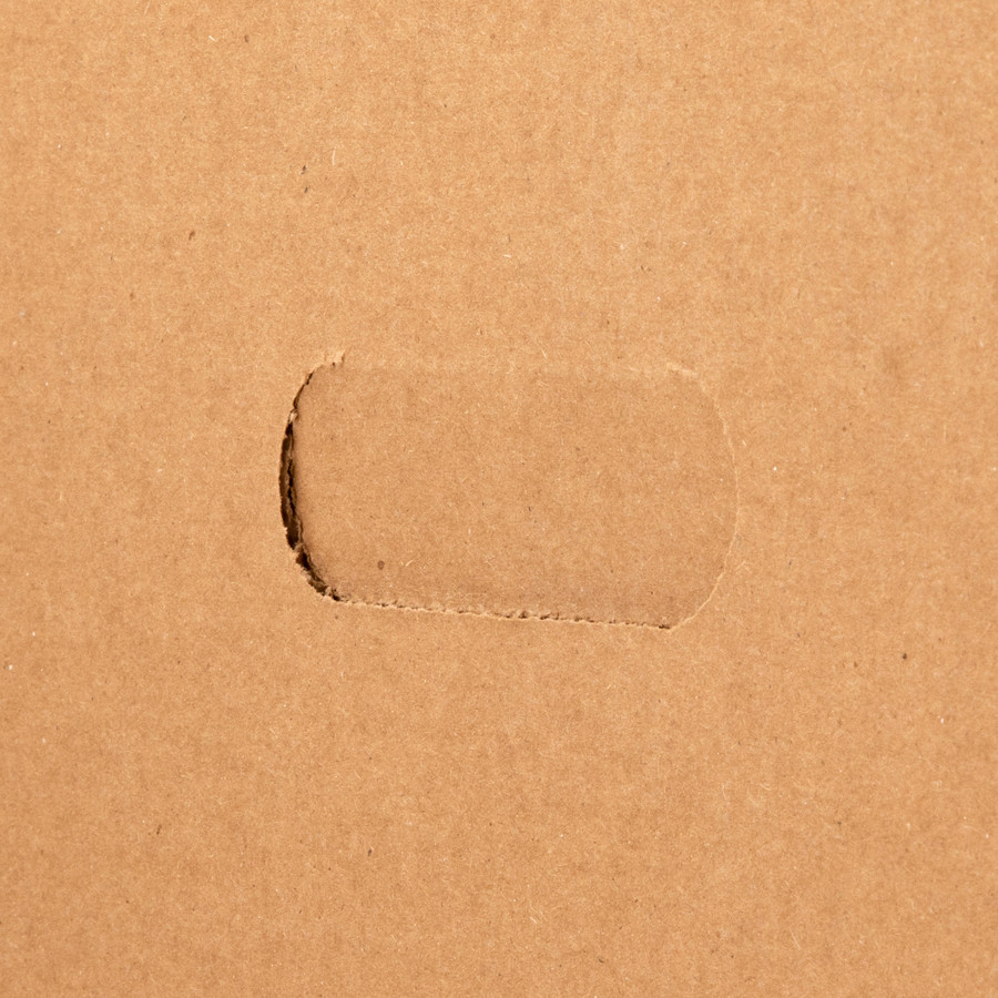 Business Source 42051 Business Source Economy Storage Box with Lid