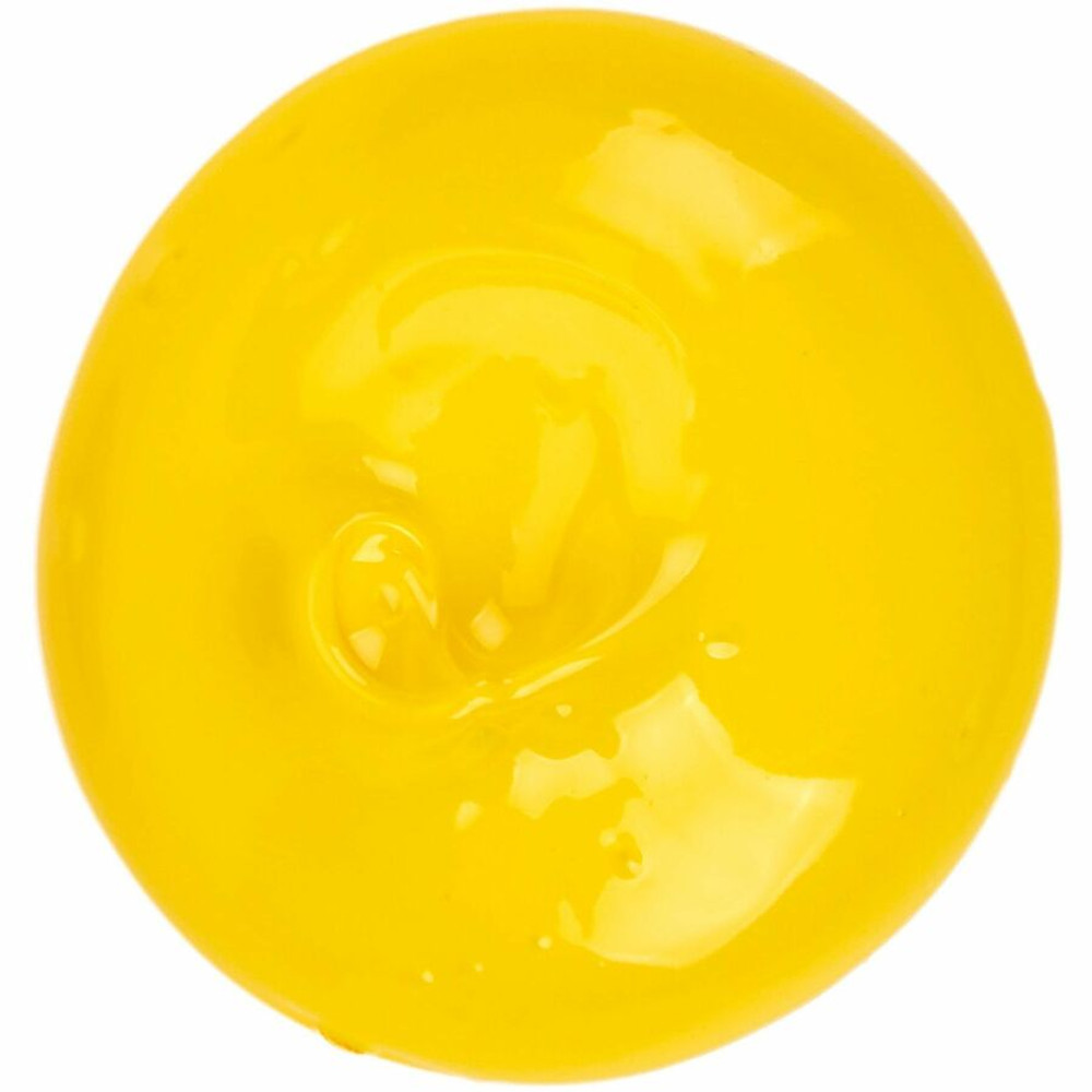 Crayola, LLC Crayola 20-4016-830 Crayola Portfolio Series Acrylic Paint