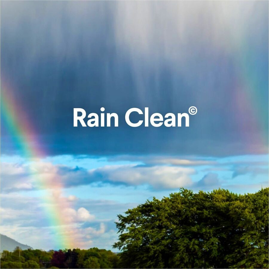 The Clorox Company Clorox 30197 Clorox Clean-Up All Purpose Cleaner with Bleach